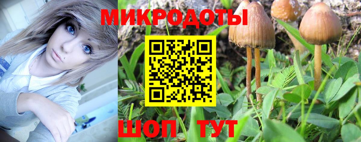 Урус-Мартан  Псилоцибиновые грибы MAGIC MUSHROOMS  Вход с VPN 